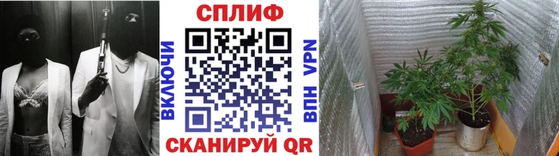 Что такое Окуловка блэк спрут ссылка Alpha-PVP АМФЕТАМИН МАРИХУАНА Меф ГАШИШ